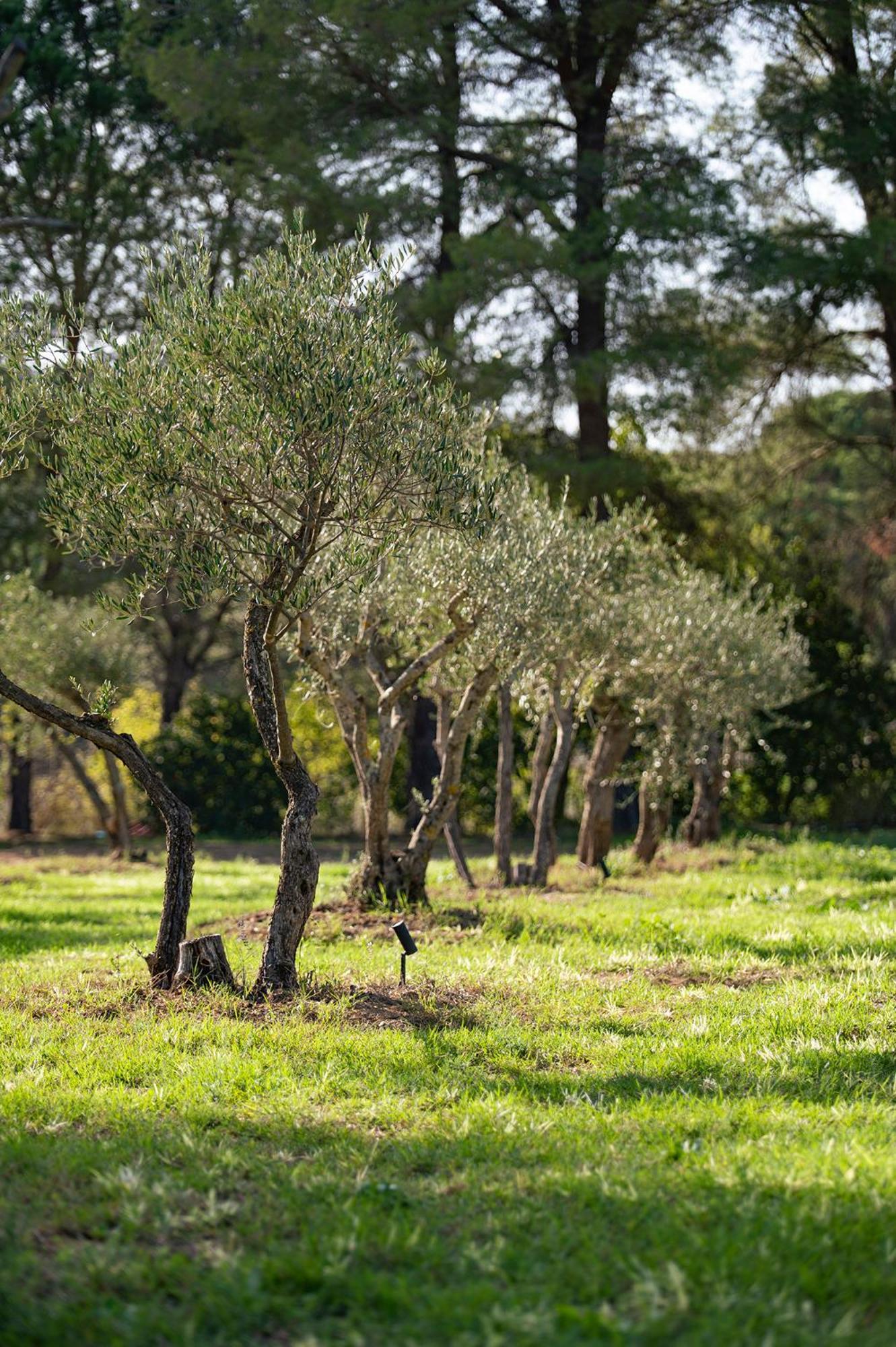 גרימו Le Clos De Mansart מראה חיצוני תמונה